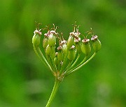 IMG_2986