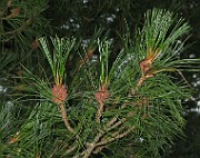 IMG_3879
