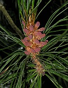 IMG_3882