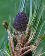 IMG_3884