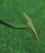 IMG_3885