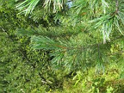 IMG_8773