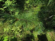 IMG_8774