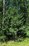 IMG_8777
