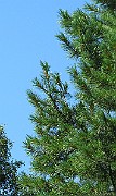 IMG_8780