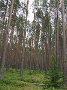 IMG_3973