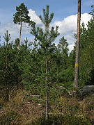 IMG_4901