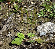 IMG_3891