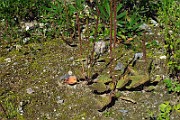 IMG_3894