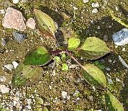 IMG_3896