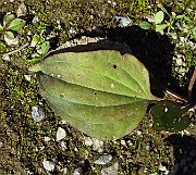 IMG_3897