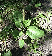IMG_8856
