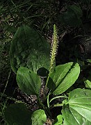 IMG_8857