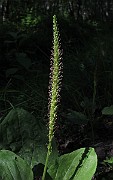 IMG_8858