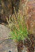 IMG_0552