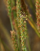 IMG_0553