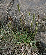 IMG_4668