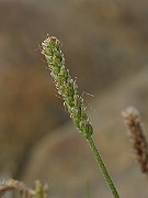 IMG_4669