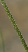 IMG_4670