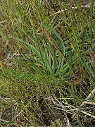 IMG_4677