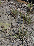 IMG_8895