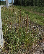 IMG_8897