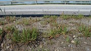 IMG_8898