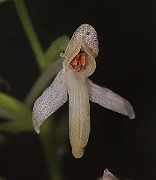IMG_1086