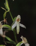 IMG_1087