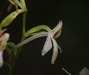 IMG_1089