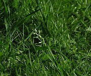 IMG_4001