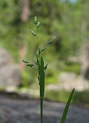 IMG_8568