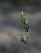 IMG_8571