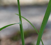 IMG_8573