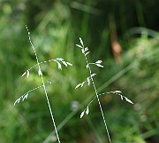 IMG_9891