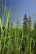 IMG_0426