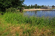 IMG_0430