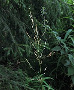 IMG_4875