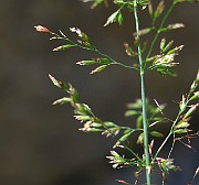 IMG_9944