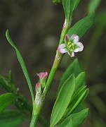 IMG_6614b