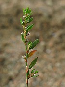 IMG_3928
