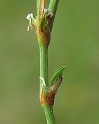 IMG_3939