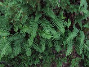 IMG_8422