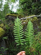 IMG_8424