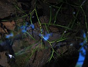 IMG_8839