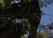 IMG_8840