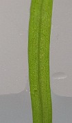 IMG_8910