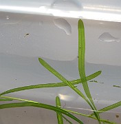 IMG_8914