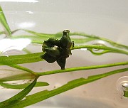 IMG_8917