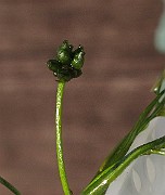 IMG_8920